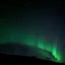 auroracait