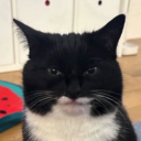 Discord Avatar