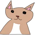 robinator801