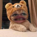 bubbapudding