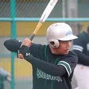 dhanaaryaputra