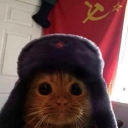 avatar Communist cat