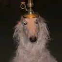 docteurkrieger
