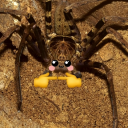 avatar Aokaizenkurai