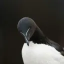 jiawei.kbd