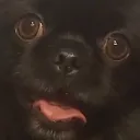 barcue