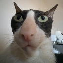 louisde