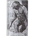 avatar The Coro Beast