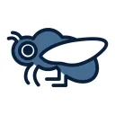 cicadashell