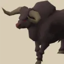 kickbrutus