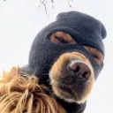 leroytv
