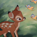 Discord Avatar