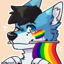 knightthehusky