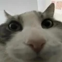 somerandomnerd
