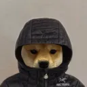 jan_bot