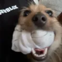 natalieees
