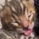 mr.sleep