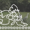 avatar thatgalwithmyface