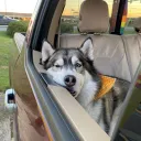 nickynapper