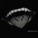 avatar 「从ω」HuNteR