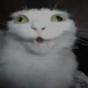 t_l12