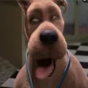 aggressornzky
