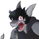 fynntheshark
