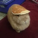 myohmypancakes