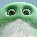 bucchabuccha