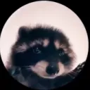 zloygenyi