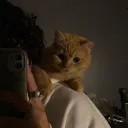 cheezbuumbps