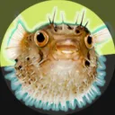 fwompey