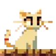 m9k1sh