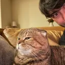 manzoid