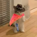 itsjswift