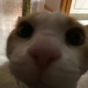 rodrigonao#1779's avatar