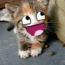 avatar aaaaaaaaaaaaaaaa