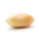 Nude Peanut avatar