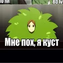 kustve4ny