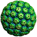 Acidic_Virus_