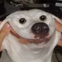 baguettegaming