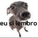ydavipvpz_