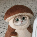 avatar 邪惡壞小狗