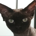 avatar Miner 张起灵。