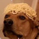 scottthepotato