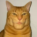 ramazantm