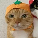 kpankpankpan