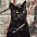 berredin