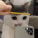 kozawi69