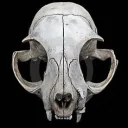kittycatbones8129